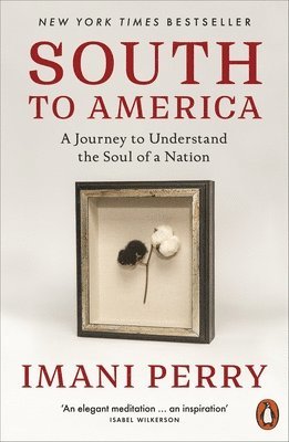Imani Perry - South to America, Häftad