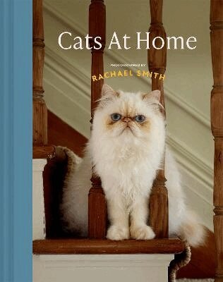 Rachael Smith - Cats at Home, Inbunden