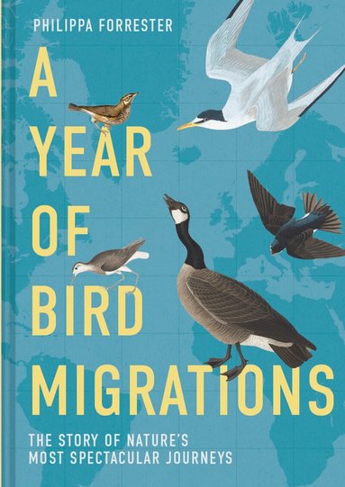 Philippa Forrester - Year of Bird Migrations, Inbunden