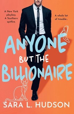 Anyone But The Billionaire 1