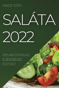bokomslag Salta 2022