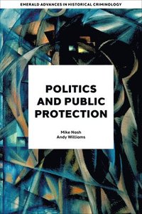 bokomslag Politics and Public Protection