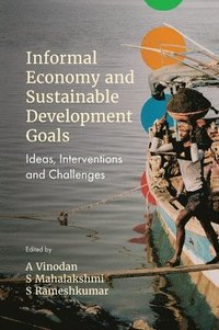 bokomslag Informal Economy and Sustainable Development Goals