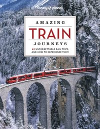 bokomslag Amazing Train Journeys