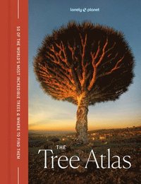 bokomslag Lonely Planet The Tree Atlas
