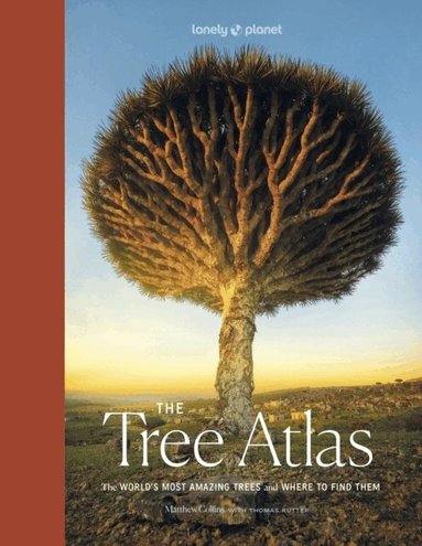 Lonely Planet, Matthew Collins, Lonely Planet, Matthew Collins - Lonely Planet The Tree Atlas, Inbunden