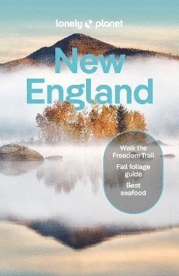 bokomslag Lonely Planet New England