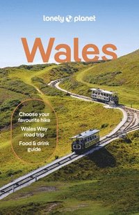 bokomslag Lonely Planet Wales