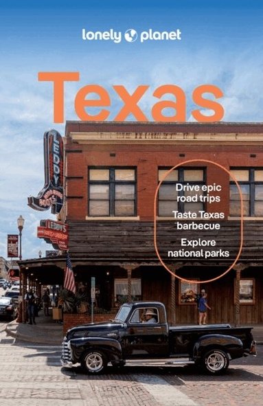 Lonely Planet, Regis St Louis, Dale Blasingame, Stephen Lioy, Meena Thiruvengadam - Lonely Planet Texas, Häftad