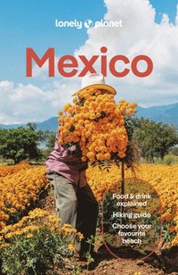 bokomslag Mexico