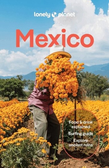 Lonely Planet, Joel Balsam, Jennifer Fernández Solano, John Hecht, Nellie Huang, Anna Kaminski, Liza Prado, Brendan Sainsbury, Regis St Louis, Paul Stafford, Iain Stewart, Phillip Tang, Lonely Planet - Lonely Planet Mexico, Häftad