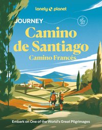 bokomslag Journey Camino de Santiago