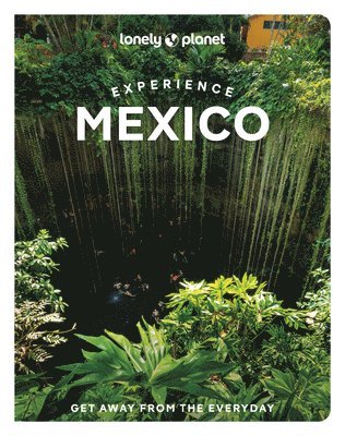 bokomslag Lonely Planet Experience Mexico