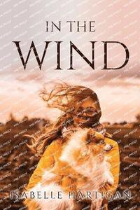 bokomslag In the Wind