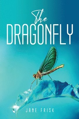 The Dragonfly 1