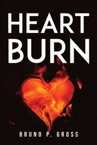 bokomslag Heart Burn