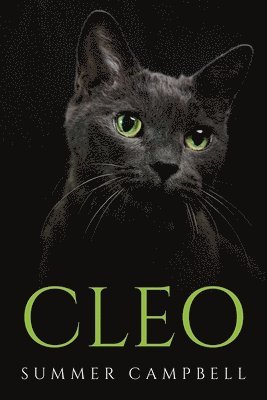 bokomslag Cleo