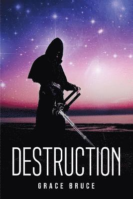 bokomslag Destruction