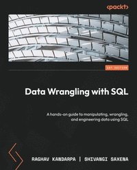 bokomslag Data Wrangling with SQL