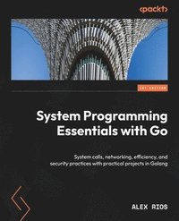 bokomslag System Programming Essentials with Go