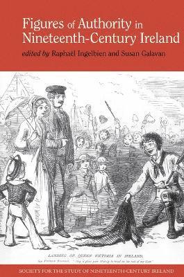 bokomslag Figures of Authority in Nineteenth-Century Ireland