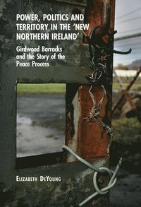 bokomslag Power, Politics and Territory in the New Northern Ireland