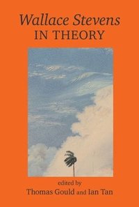 bokomslag Wallace Stevens In Theory