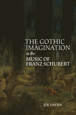 bokomslag Gothic Imagination in the Music of Franz Schubert