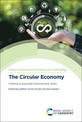 bokomslag Circular Economy