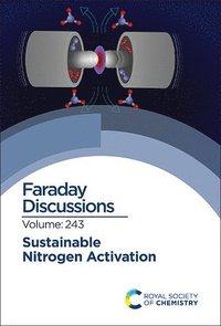 bokomslag Sustainable Nitrogen Activation