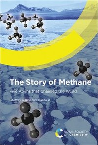 bokomslag Story of Methane