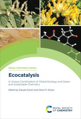 bokomslag Ecocatalysis