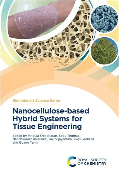 Mridula Sreedharan, Sabu Thomas, Nandakumar Kalarikkal, Raji Vijayamma, Yves Grohens, Guang Yang - Nanocellulose-based Hybrid Systems for Tissue Engineering, Inbunden