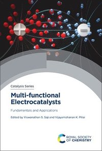 bokomslag Multi-functional Electrocatalysts