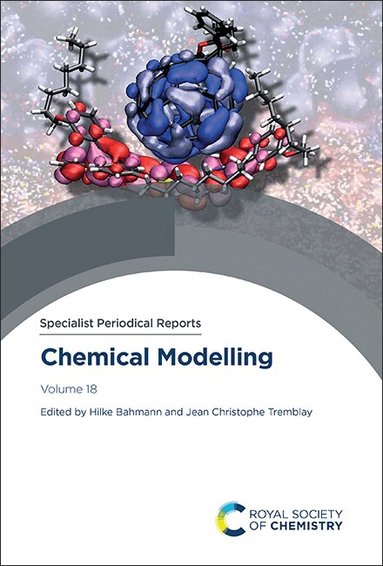 Hilke Bahmann, Jean Christophe Tremblay - Chemical Modelling, Inbunden