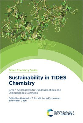 bokomslag Sustainability in TIDES Chemistry