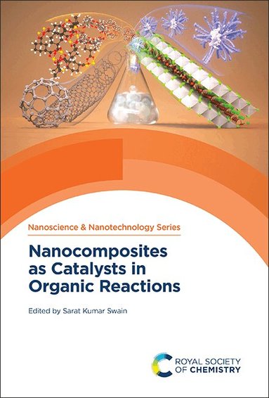 Sarat Kumar Swain - Nanocomposites as Catalysts in Organic Reactions, Inbunden
