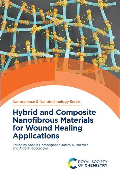 Shahin Homaeigohar, Judith A Roether, Aldo R Boccaccini - Hybrid and Composite Nanofibrous Materials for Wound Healing Applications, Inbunden