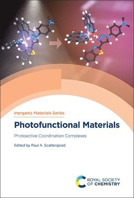 bokomslag Photofunctional Materials