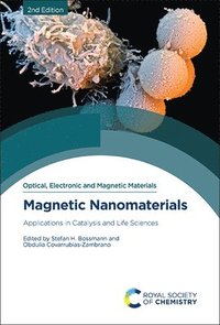bokomslag Magnetic Nanomaterials