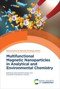 bokomslag Multifunctional Magnetic Nanoparticles in Analytical and Environmental Chemistry