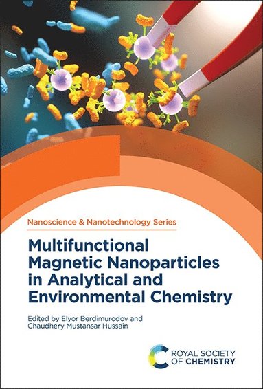 bokomslag Multifunctional Magnetic Nanoparticles in Analytical and Environmental Chemistry