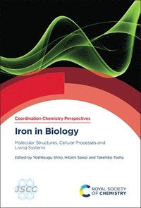 bokomslag Iron in Biology