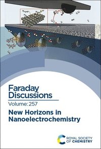 bokomslag New Horizons in Nanoelectrochemistry