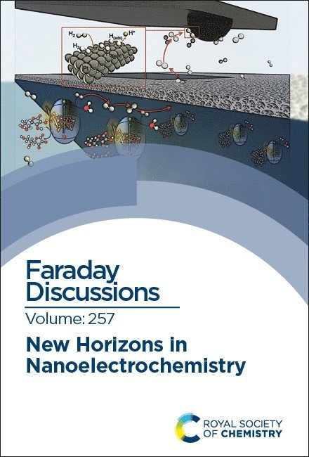 New Horizons in Nanoelectrochemistry, Inbunden