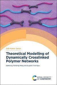 bokomslag Theoretical Modelling of Dynamically Crosslinked Polymer Networks