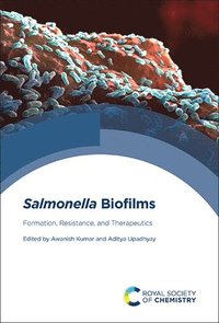 bokomslag Salmonella Biofilms