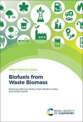 Biofuels from Waste Biomass