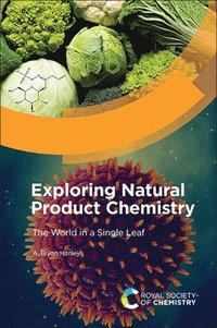 bokomslag Exploring Natural Product Chemistry