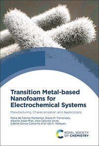 bokomslag Transition Metal-based Nanofoams for Electrochemical Systems